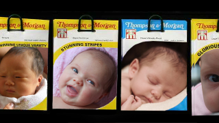 Making Designer Babies Was Supposed to Be Just Like Shopping for Seeds